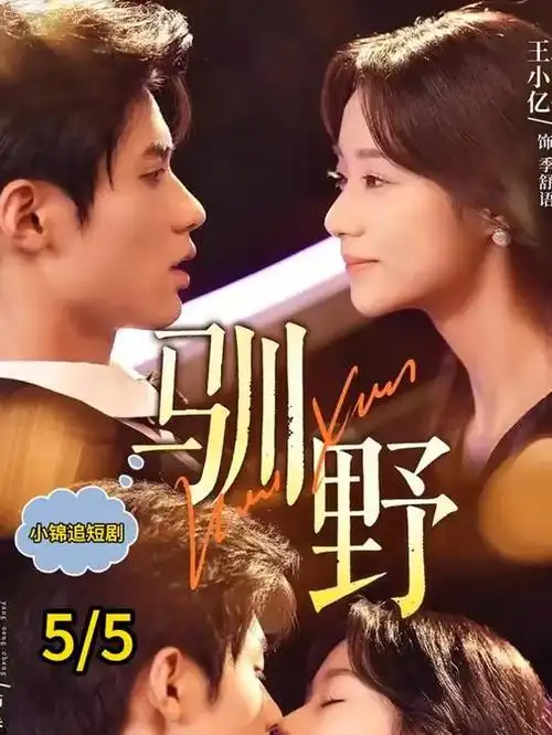 第七个证人律政剧在线观看